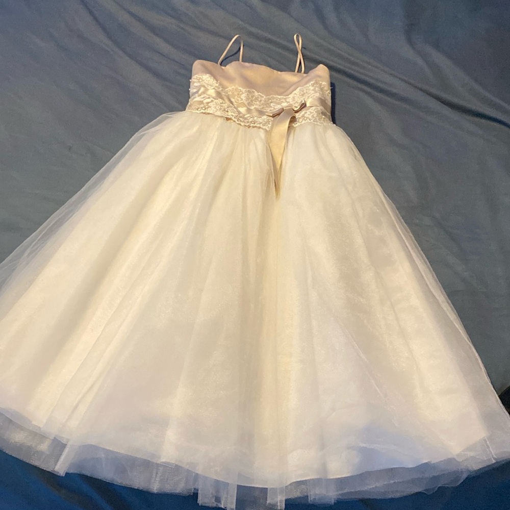 David’s Bridal Flower Girl Dress